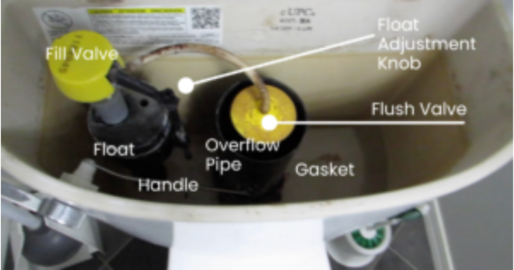 parts of a toilet